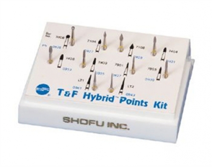 Hybrid Polishing Points T&F Points Kit