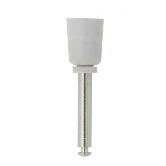 Rubber Prophy Cups RA x144 