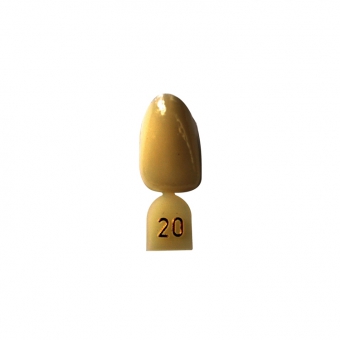 Directa Opaque Crown Refill (Laterals) 20