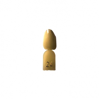Directa Opaque Crown Refill (Laterals) 24