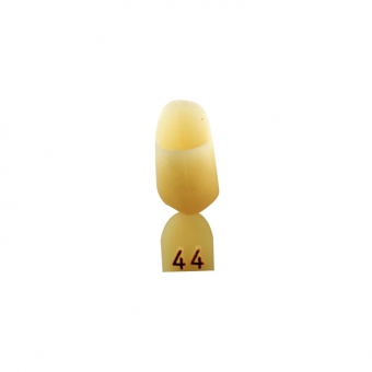 Directa Opaque Crown Refill (Bicuspid) 44 