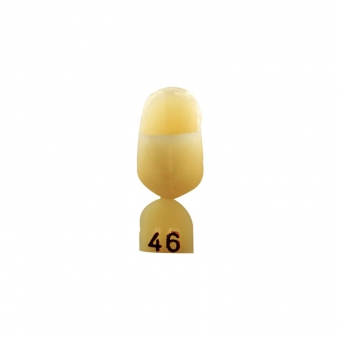 Directa Opaque Crown Refill (Bicuspid) 46