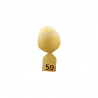 Directa Opaque Crown Refill (Bicuspid) 59 