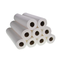 Premium Hygiene / Wiper Roll 10 Inch 2 Ply White