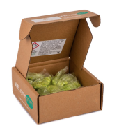 WELzyme Green Sachets Cleaning Solution