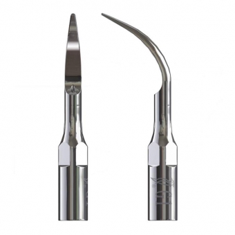 EMS Style Scaler Tips - Stainless Steel G1