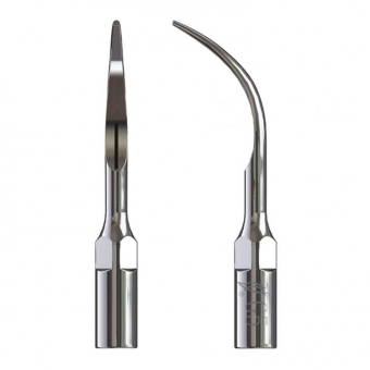 EMS Style Scaler Tips - Stainless Steel G5