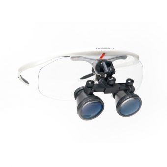 Hogies MediView Loupes 300 Series Gold Frames