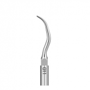 APF NSK Varios Scaling Tips G11