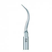 APF NSK Varios Scaling Tips G4