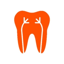Endodontics