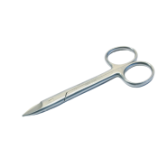 Crown And Gold Scissors