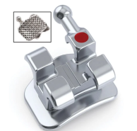 Roth Upper & Lower 5-5 Kit