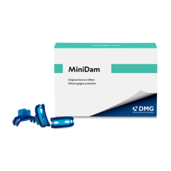 Mini Dam 