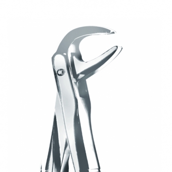 Extraction Forceps Lower Roots 74