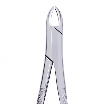 Extraction Forceps Upper Central & Canines 1