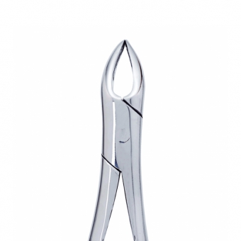 Extraction Forceps Upper Roots 76