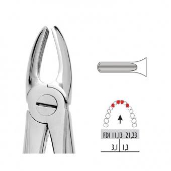 Premier Extraction Forceps 1 Upper centrals & Canines