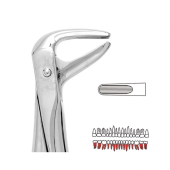 Premier Extraction Forceps 74 Lower Roots