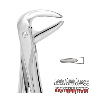 Premier Extraction Forceps 74N Small Lower Roots