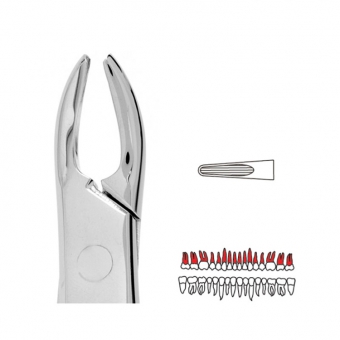 Premier Extraction Forceps 76 Upper Roots