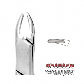 Premier Extraction Forceps 76N Small Upper Roots