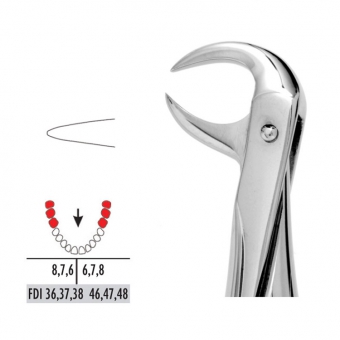 Premier Extraction Forceps 86 Lower Molars Cowhorn