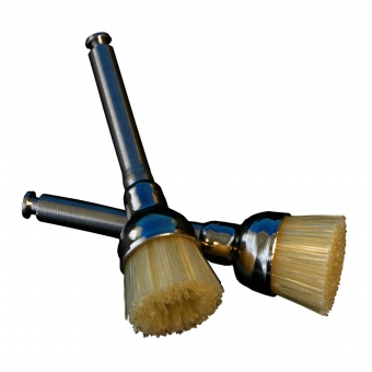 Junior Cup Prophy Brushes Bristle RA Latch