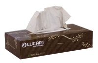 EcoNatural 100 V Facial Tissues Luxury 2 Ply